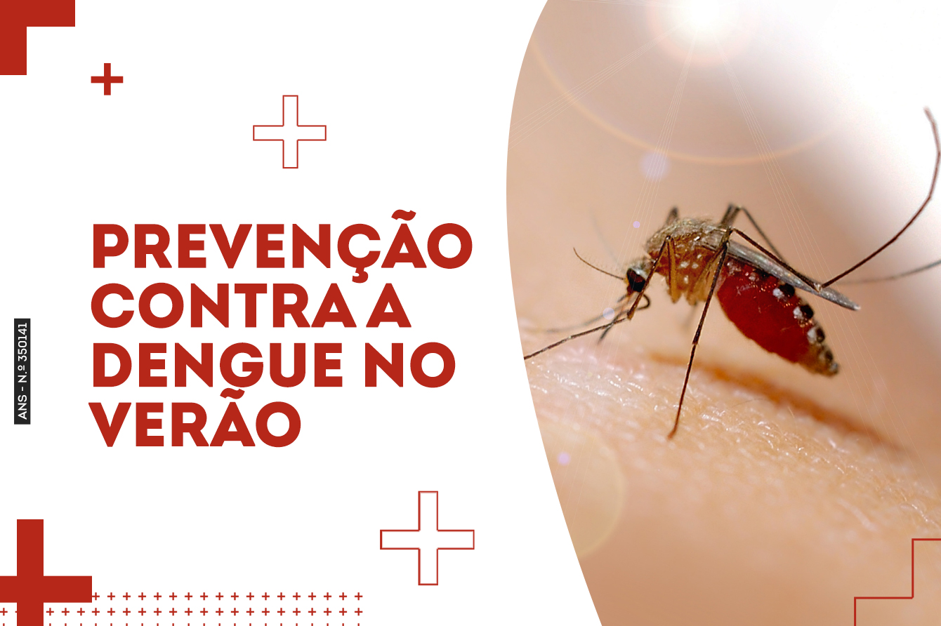 Prevenção contra a Dengue no verão